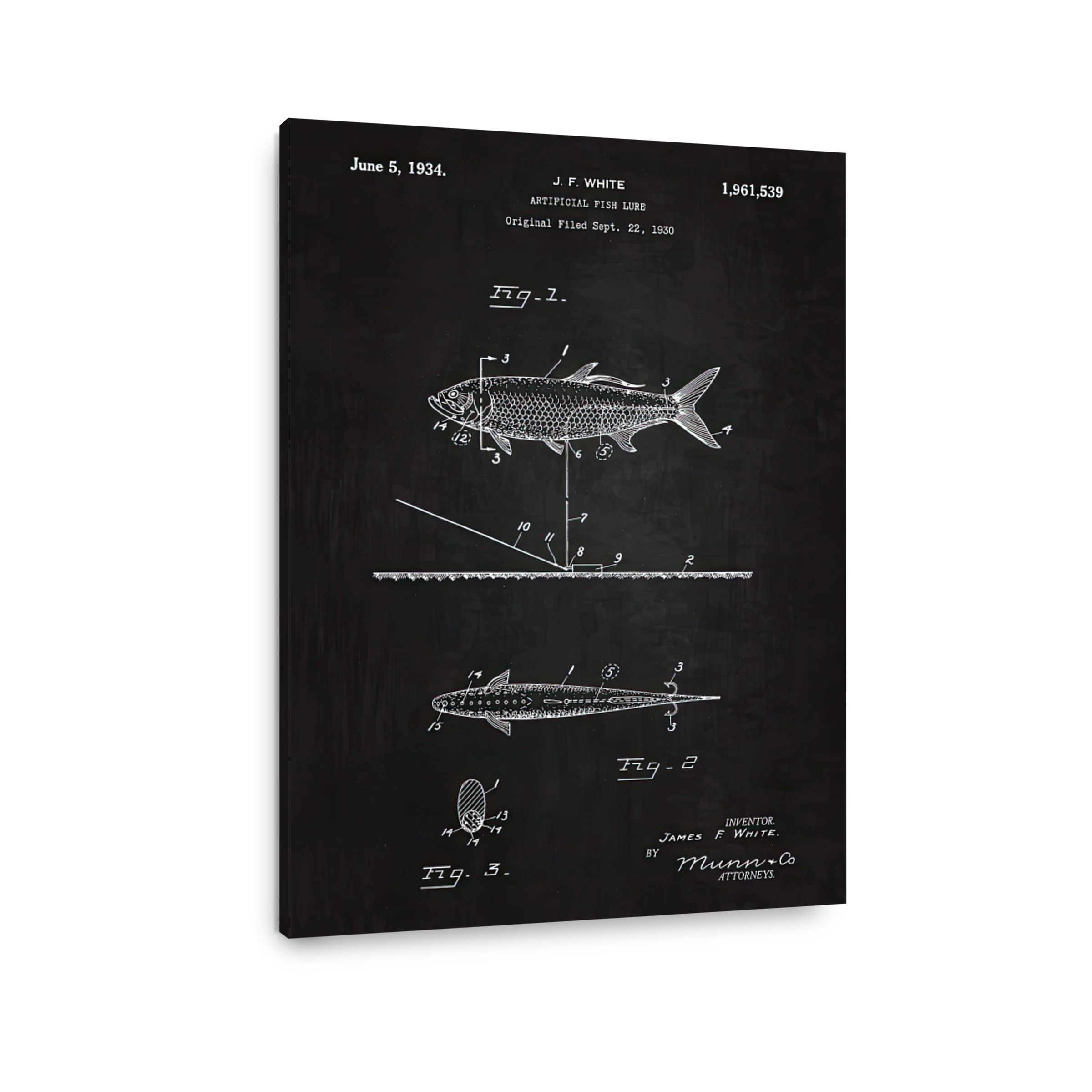 Artificial Fish Lure Patent Blueprint