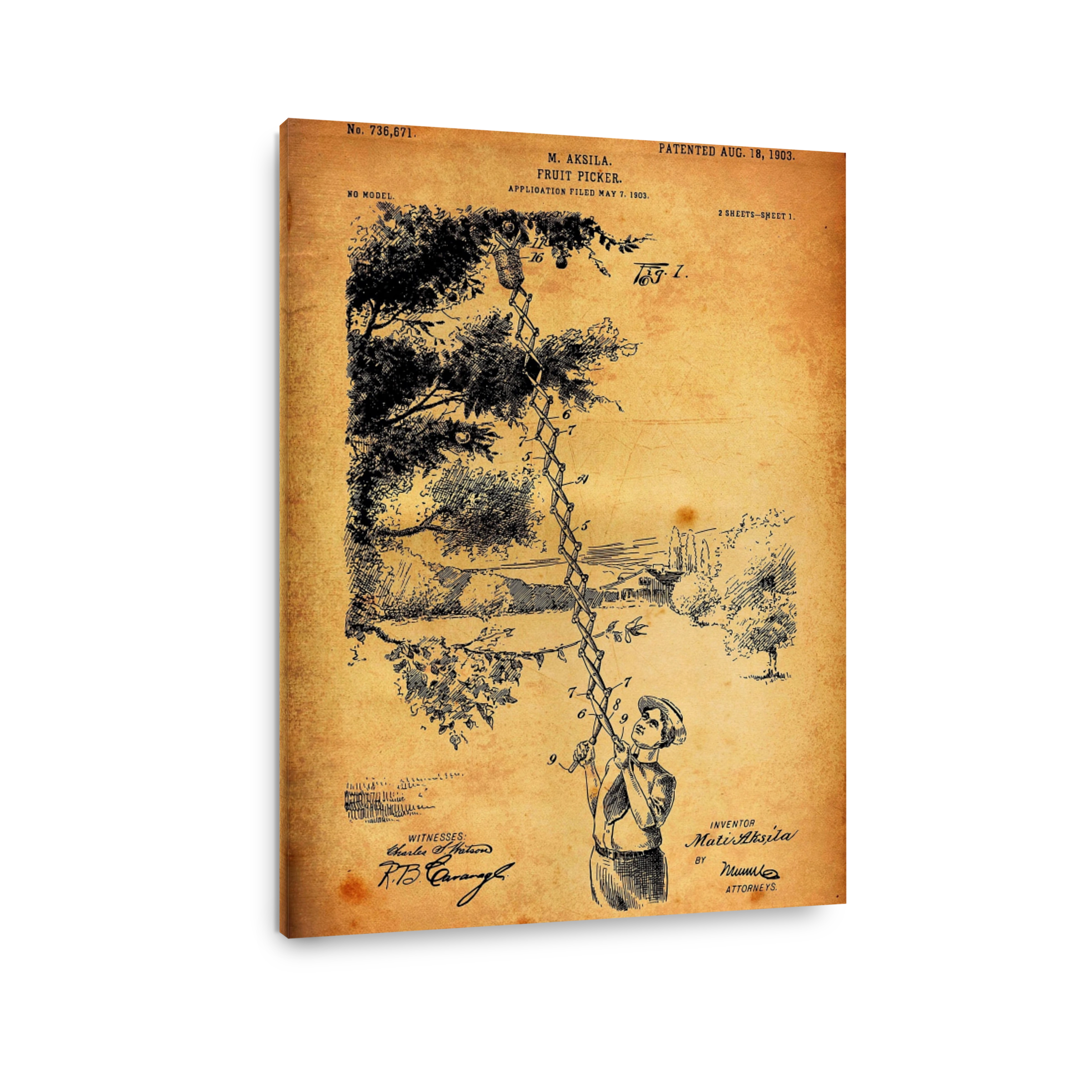 Vintage Fruit Picker Patent Drawing