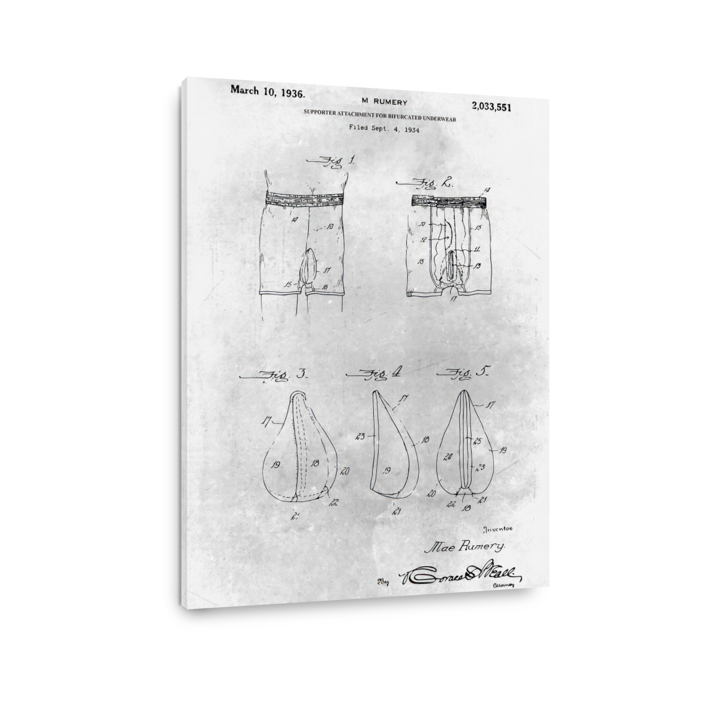 Patent Blueprint_diginorm 0894