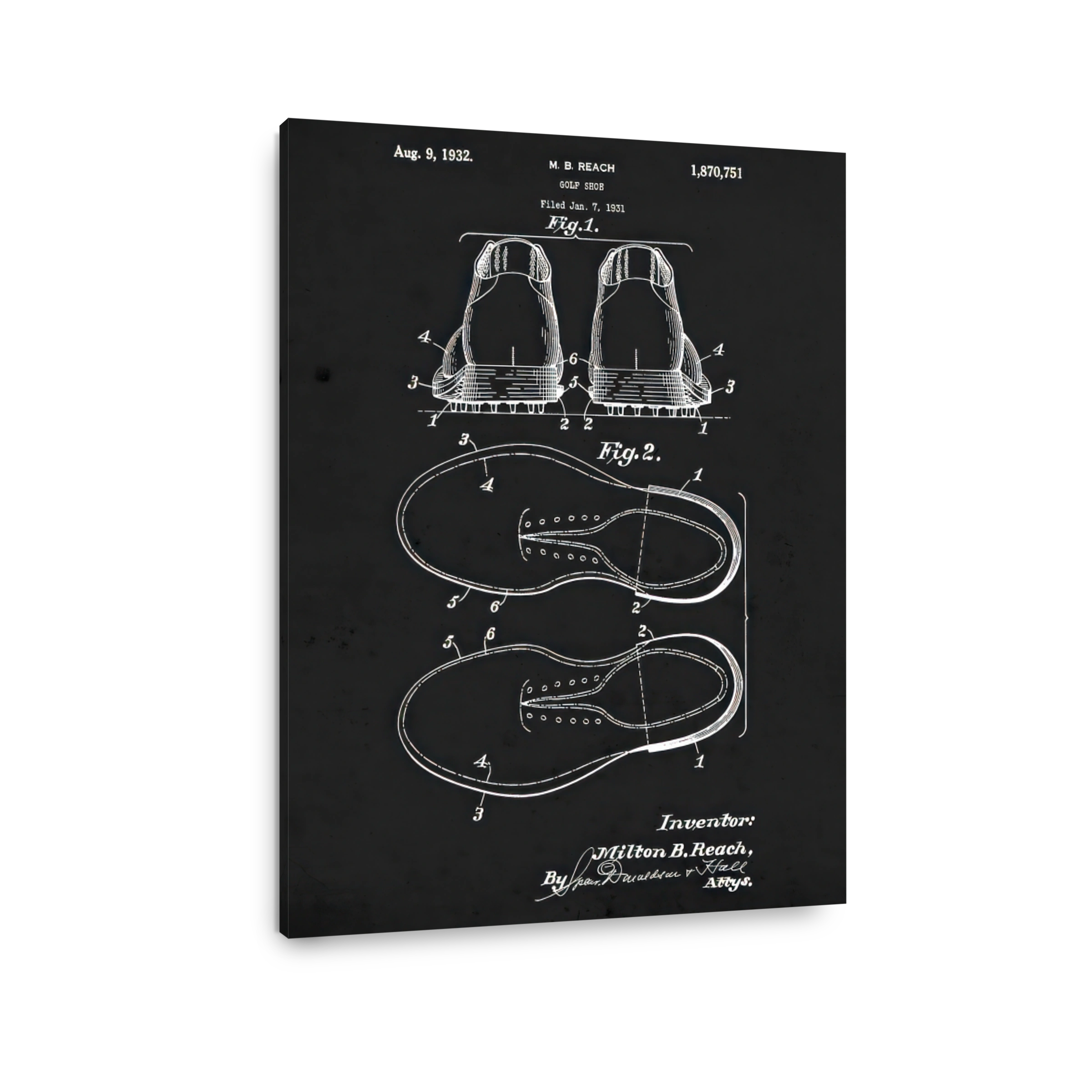 Patent Blueprint_diginorm 0080