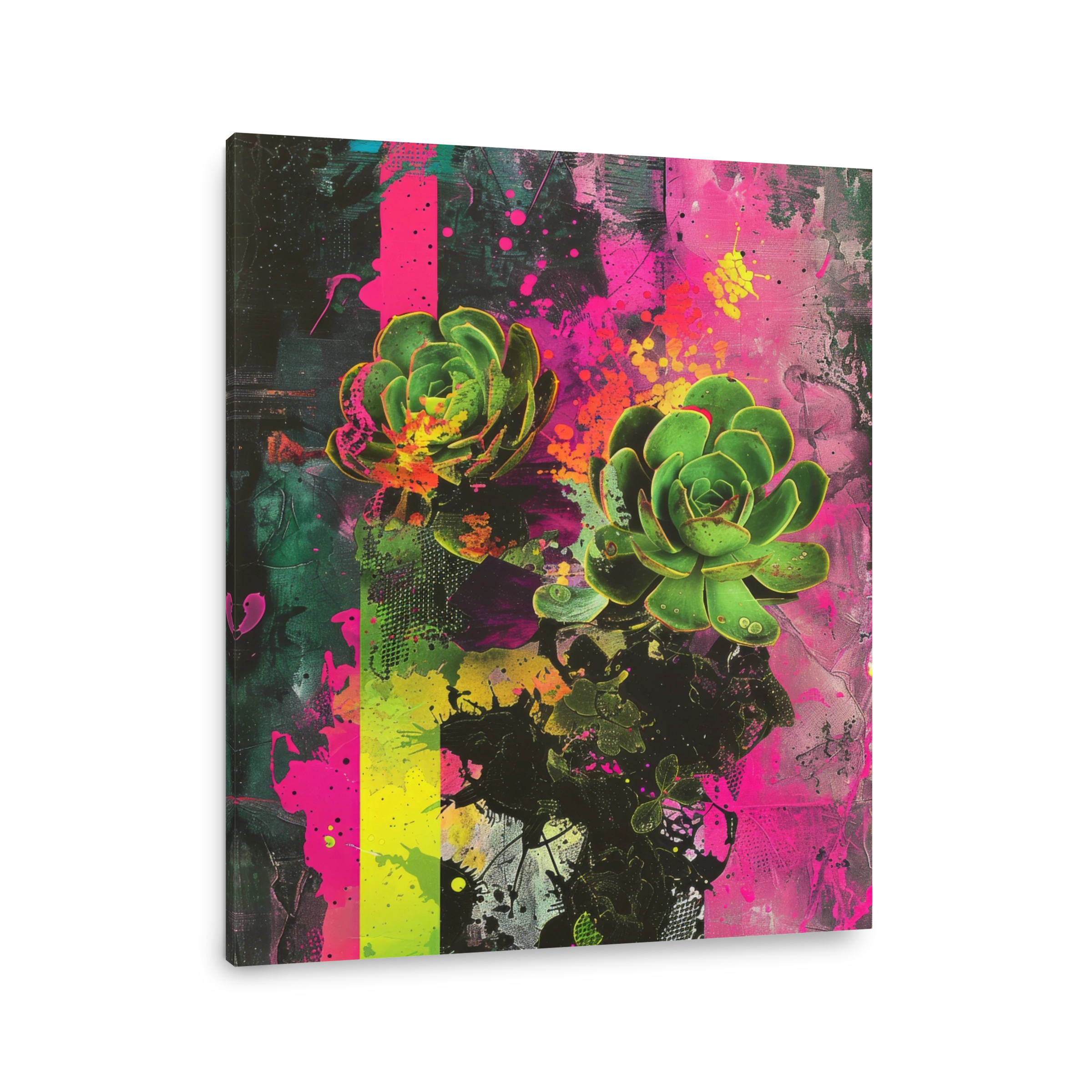 Vibrant Succulents in Neon Splatter