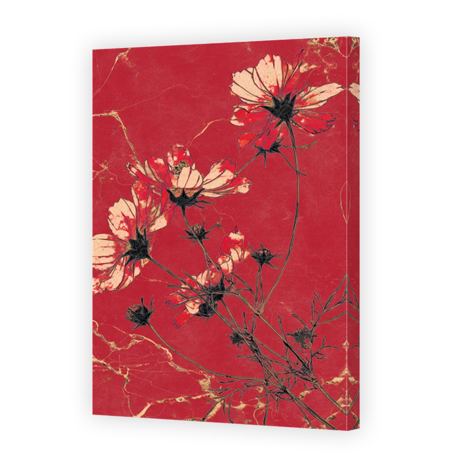 Red Cosmos Flowers on Textured Background