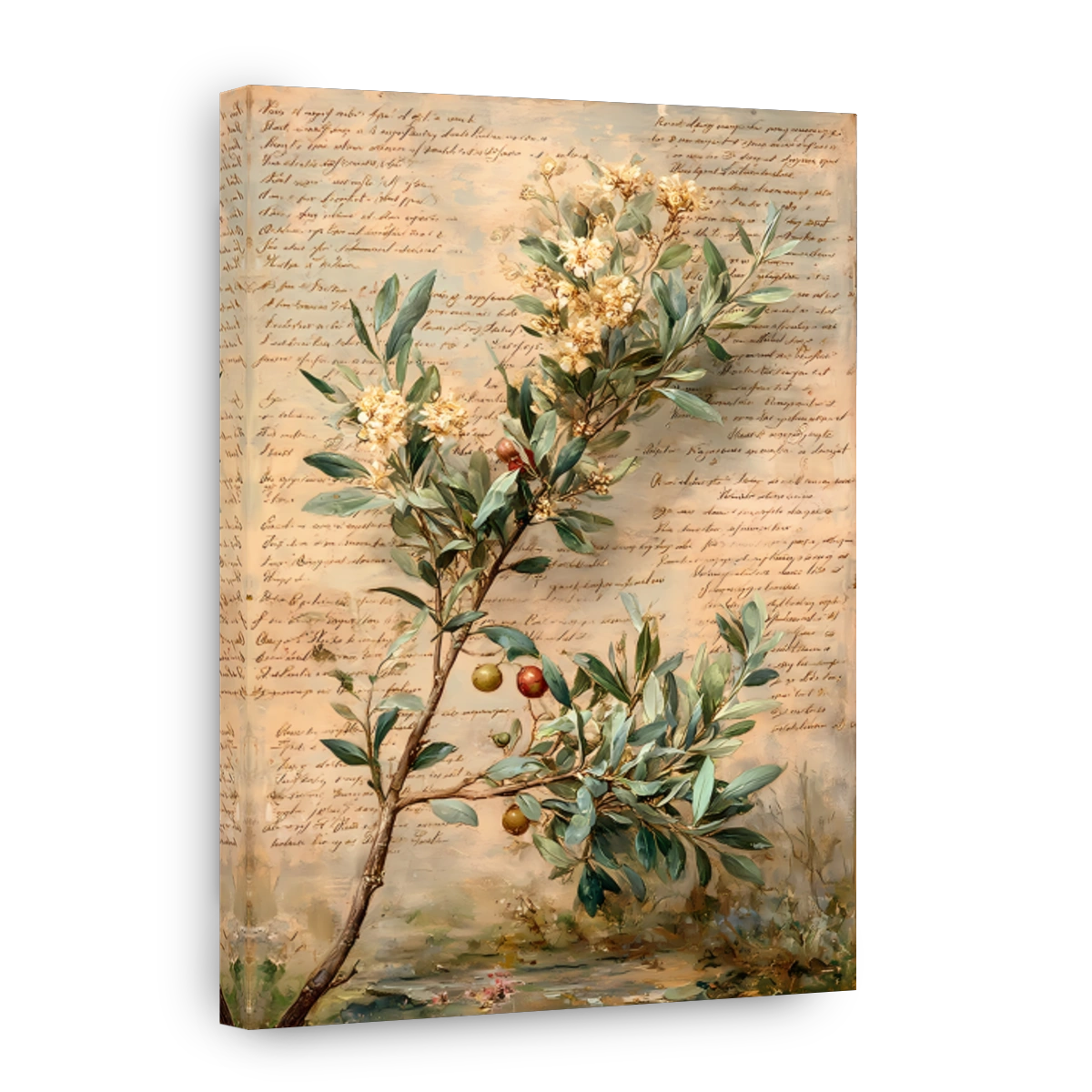 Olive Branch with Fruit on Script Background